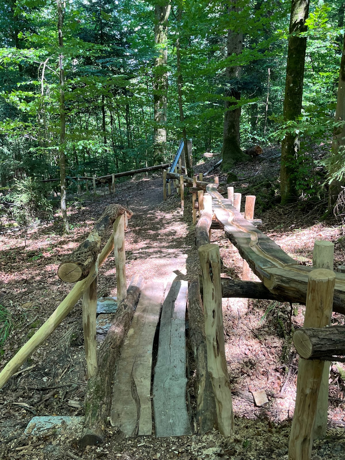Holzrinnen links und rechts des Pfads, mit Handlauf aus Rundholz – Waldmurmelbahn am Murrhardter Feenpfad