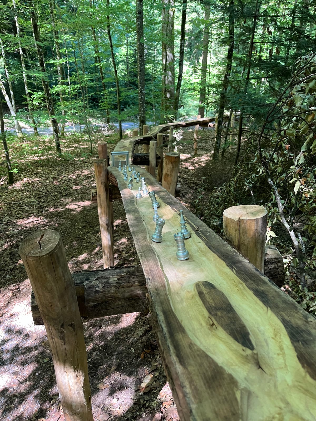 Geschnitzte Holzrinne mit Metall-Slalom, bergab am Riesberg – Waldmurmelbahn am Murrhardter Feenpfad