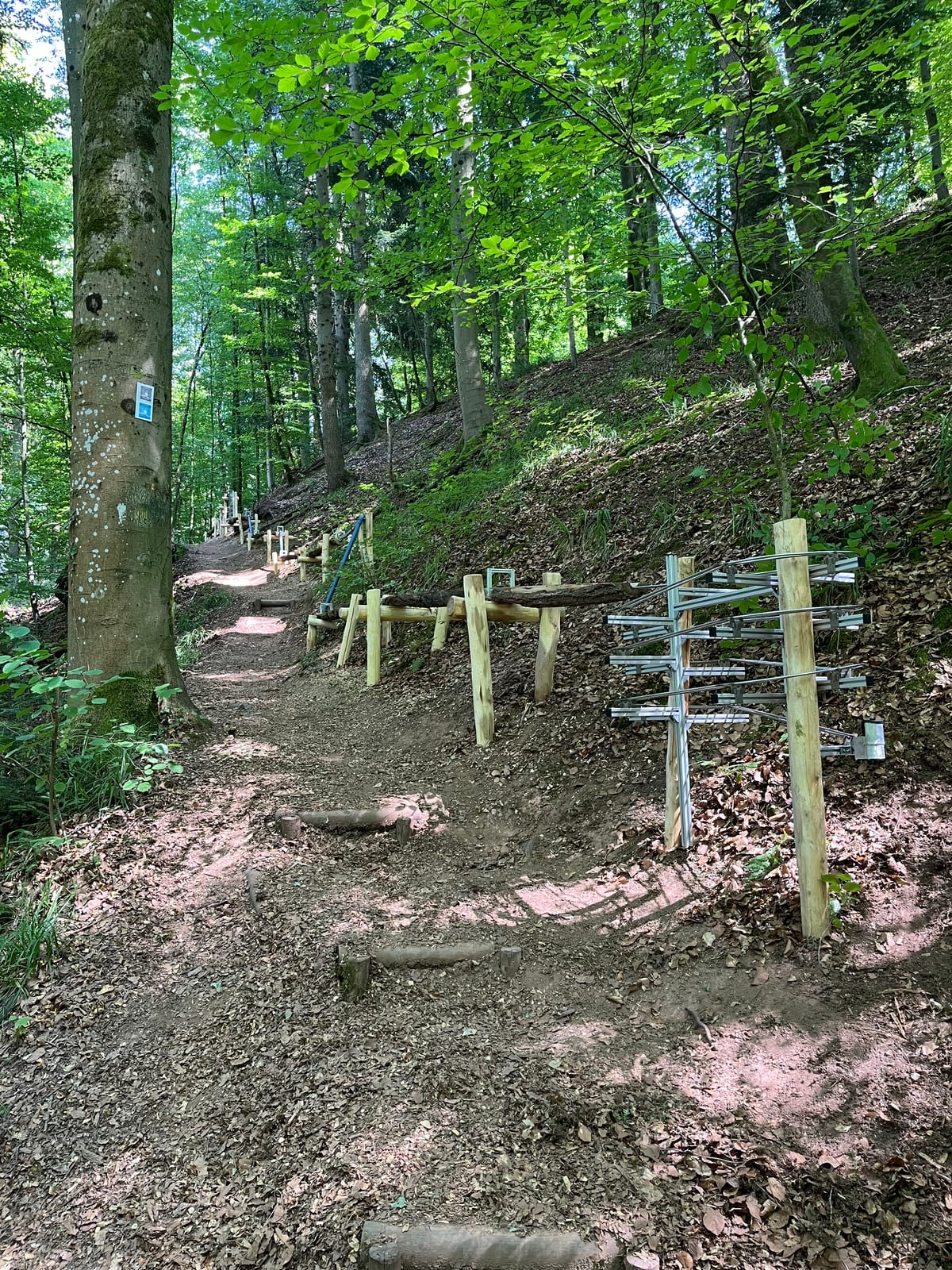 Die Bahn begleitet den Waldpfad, rechts ein Klangelement aus Metallrohren – Waldmurmelbahn am Murrhardter Feenpfad
